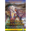 Visionary Shamanism: Activating the Imaginal Cells of the Human Energy Field
