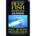 Reef Fish Identification Galapagos