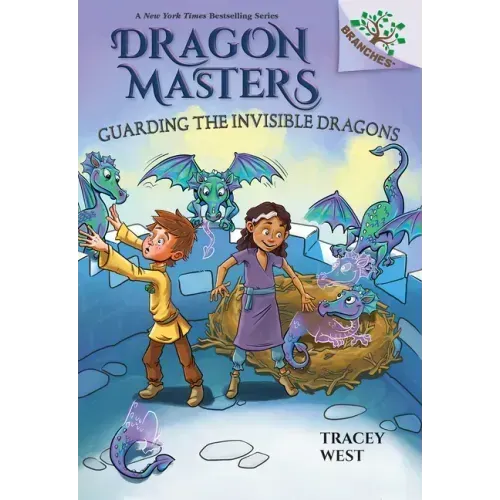 Guarding the Invisible Dragons: A Branches Book (Dragon Masters #22)