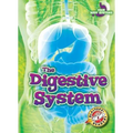 The Digestive System