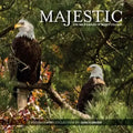 Majestic: The Bald Eagles of Berry College