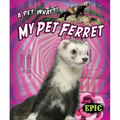 My Pet Ferret