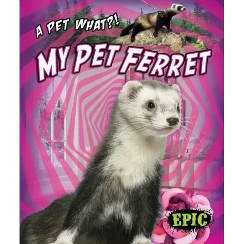 My Pet Ferret