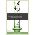 Propagation