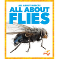 All about Flies