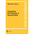 Singularities and Topology of Hypersurfaces