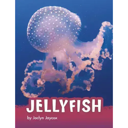 Jellyfish