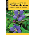 Wildflowers of the Florida Keys