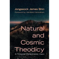 Natural and Cosmic Theodicy: A Trinitarian Panentheistic Vision