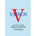 Vairos Executive Game Plan