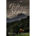 Gift from the Storm