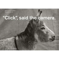 Click, Said the Camera