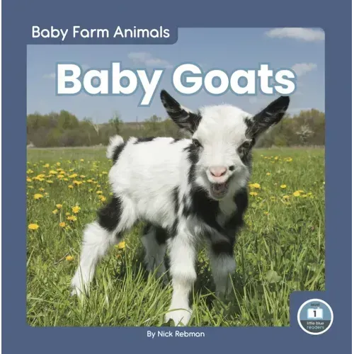 Baby Goats