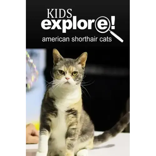 American Shorthair Cat - Kids Explore: Animal books nonfiction - books ages 5-6