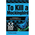 To Kill a Mockingbird: 100 Page Summary