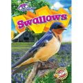 Swallows