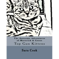 The Awesome Adventures of Maverick & Goose: Top Gun Kittens