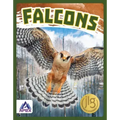 Falcons
