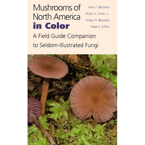 Mushrooms of North America in Color: A Field Guide Companion to Seldom-Illustrated Fungi