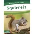Squirrels