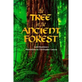 The Tree in the Ancient Forest