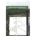 Operación Trachtenberg