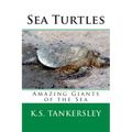 Sea Turtles: Amazing Giants of the Sea