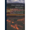 On a Mexican Mustang, Through Texas, From the Gulf to the Rio Grande