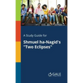 A Study Guide for Shmuel Ha-Nagid's "Two Eclipses"