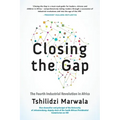 Closing the Gap: The Fourth Industrial Revolution in Africa