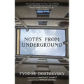Notes from Underground (Warbler Classics Annotated Edition)