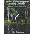 The Ivory-billed Woodpecker: Taunting Extinction: Survival in the Modern Era