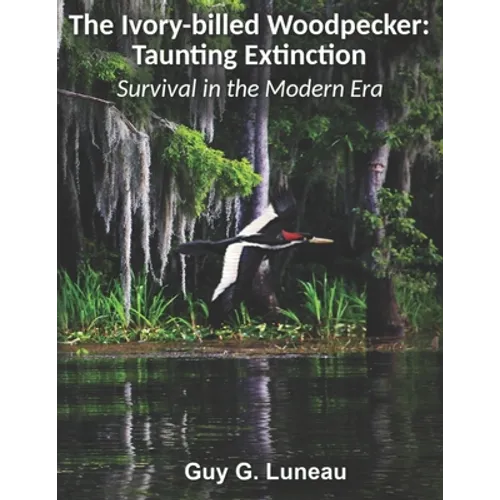 The Ivory-billed Woodpecker: Taunting Extinction: Survival in the Modern Era
