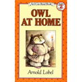 Owl at Home