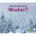What Can You See in Winter?