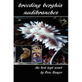 Breeding Berghia Nudibranches the best kept secret