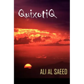 QuixotiQ