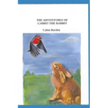 The Adventures of Cabbit The Rabbit