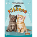 Super Cute Kittens