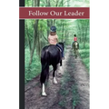 Sonrise Stable: Follow Our Leader