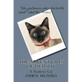 The Adventures Of Hershy: a Siamese cat