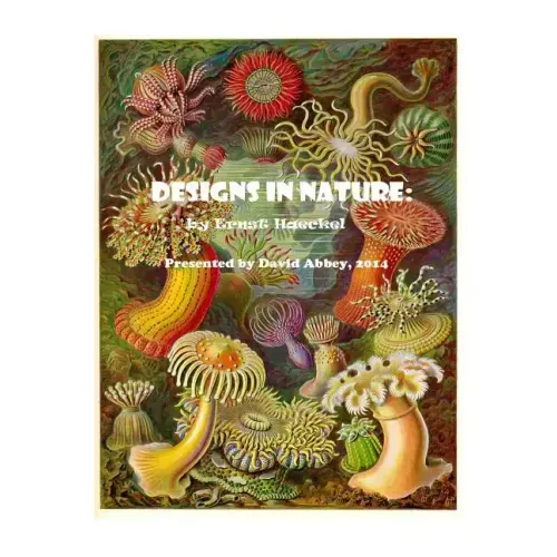 Designs in Nature: the incredible art of Ernst Haeckel
