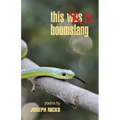 this is boomslang