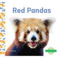 Red Pandas