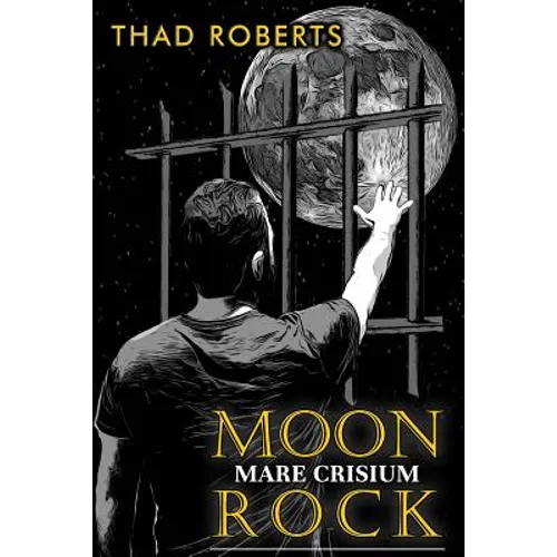 Moon Rock: Mare Crisium