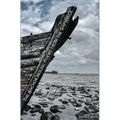 The Anchor Holds: Poems from the Shipwreck