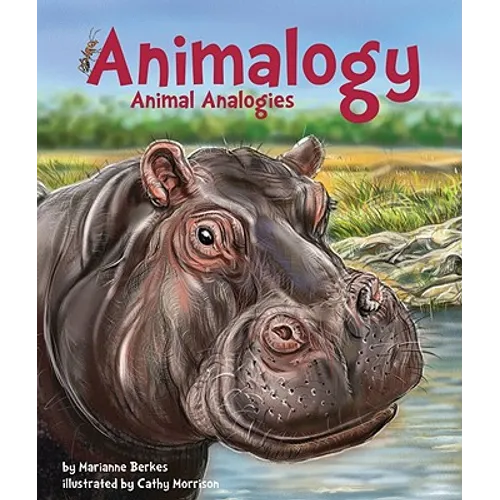 Animalogy: Animal Analogies
