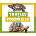 Turtles and Tortoises