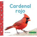 Cardenal Rojo (Northern Cardinals)