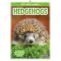Hedgehogs